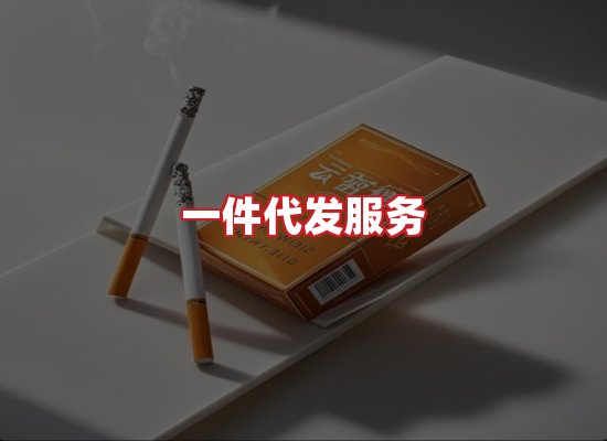 专业团队